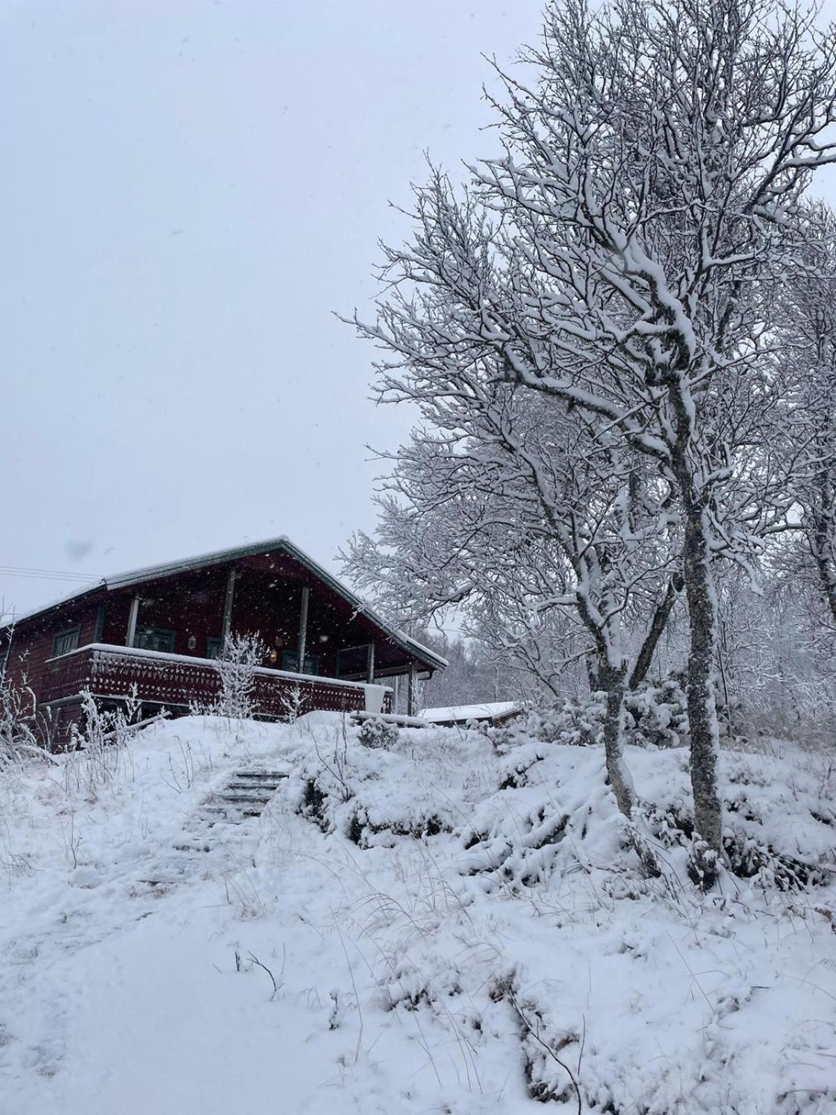 Trivelig Hytte I Senja. Exterior photo